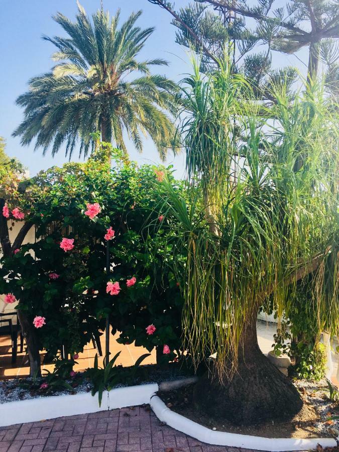 El Cortijo De Miguel Villa Nerja Kültér fotó